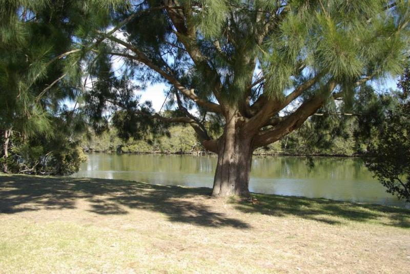 Macquarie 4 Star Motel Warners Bay Eksteriør billede